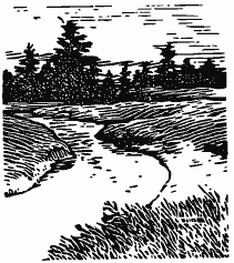 В краю непуганых птиц (сборник) - i_011.png