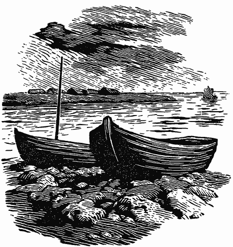 В краю непуганых птиц (сборник) - i_013.png