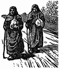 В краю непуганых птиц (сборник) - i_015.png