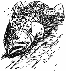 В краю непуганых птиц (сборник) - i_018.png