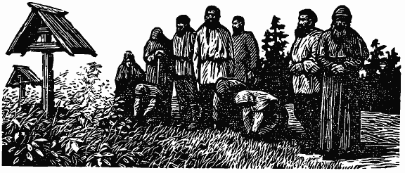 В краю непуганых птиц (сборник) - i_021.png