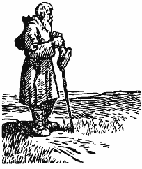 В краю непуганых птиц (сборник) - i_026.png