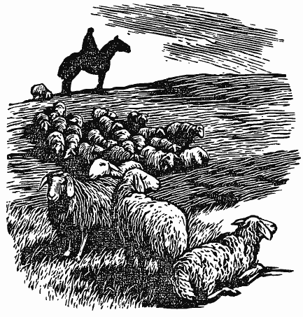 В краю непуганых птиц (сборник) - i_029.png