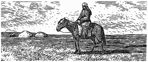 В краю непуганых птиц (сборник) - i_030.png