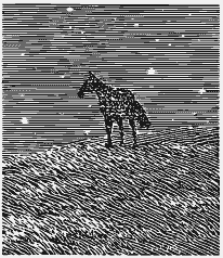 В краю непуганых птиц (сборник) - i_031.png