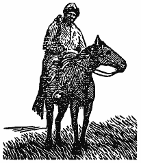 В краю непуганых птиц (сборник) - i_033.png