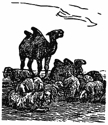 В краю непуганых птиц (сборник) - i_035.png