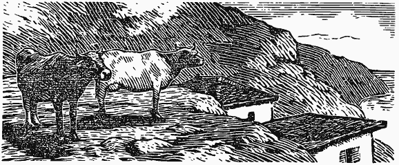 В краю непуганых птиц (сборник) - i_037.png