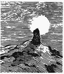 В краю непуганых птиц (сборник) - i_040.png