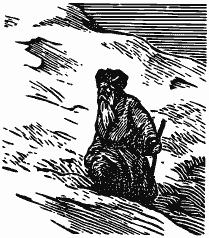 В краю непуганых птиц (сборник) - i_041.png