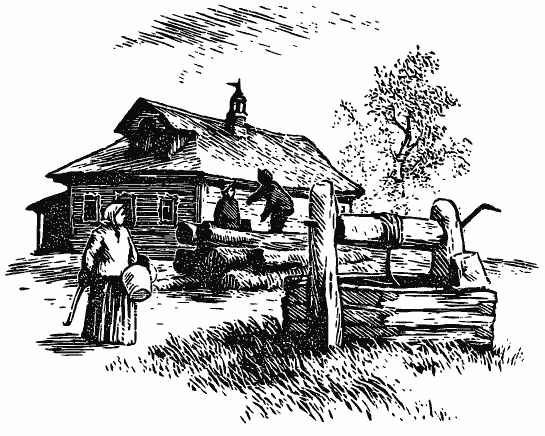 В краю непуганых птиц (сборник) - i_043.png