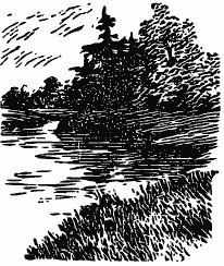 В краю непуганых птиц (сборник) - i_046.png