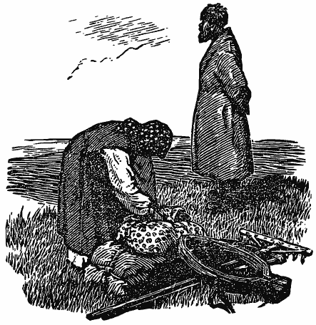 В краю непуганых птиц (сборник) - i_050.png