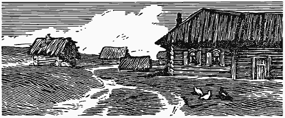 В краю непуганых птиц (сборник) - i_051.png