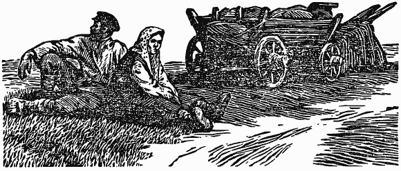 В краю непуганых птиц (сборник) - i_052.png