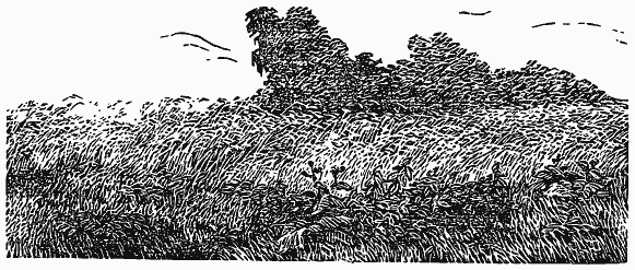 Том 2. Кащеева цепь. Мирская чаша - i_002.png