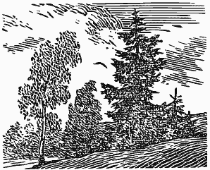 Том 2. Кащеева цепь. Мирская чаша - i_013.png