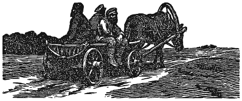 Том 2. Кащеева цепь. Мирская чаша - i_024.png