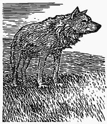 Том 2. Кащеева цепь. Мирская чаша - i_025.png