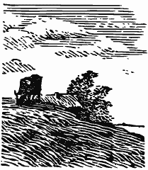 Том 3. Журавлиная родина. Календарь природы - i_002.png