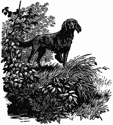 Том 3. Журавлиная родина. Календарь природы - i_006.png