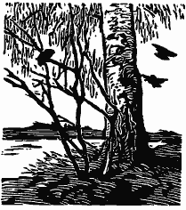 Том 3. Журавлиная родина. Календарь природы - i_008.png