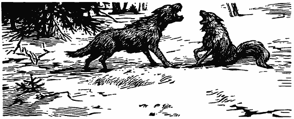 Том 3. Журавлиная родина. Календарь природы - i_014.png