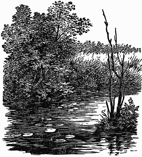 Том 3. Журавлиная родина. Календарь природы - i_018.png