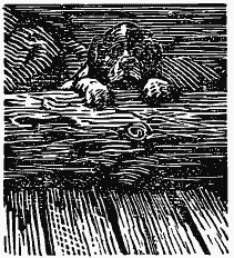 Том 3. Журавлиная родина. Календарь природы - i_020.png