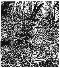 Том 3. Журавлиная родина. Календарь природы - i_021.png