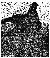 Том 3. Журавлиная родина. Календарь природы - i_024.png