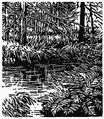 Том 3. Журавлиная родина. Календарь природы - i_026.png