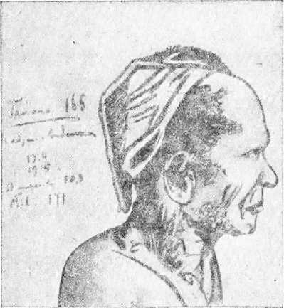 Миклуха-Маклай - i_025.jpg