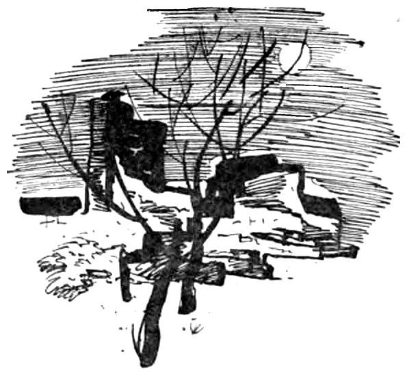 Австралийские рассказы - i_011.jpg