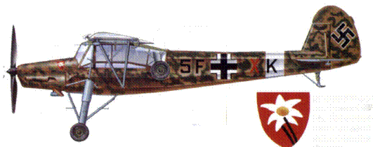 Fieseler Storch - pic_178.png