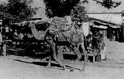 Под Баграмом - i_057.jpg