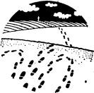 Друг или враг? - i_033.jpg