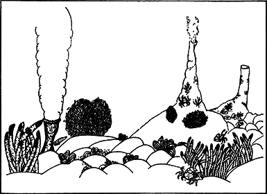 Следы былых биосфер, или Рассказ о том, как устроена биосфера и что осталось от биосфер геологического прошлого - p093.png