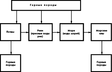 Следы былых биосфер, или Рассказ о том, как устроена биосфера и что осталось от биосфер геологического прошлого - p141_ris08.png