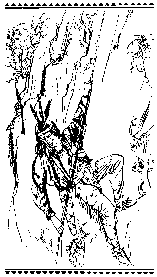 Сыновья Большой Медведицы. Книга 2 - pic_5.png