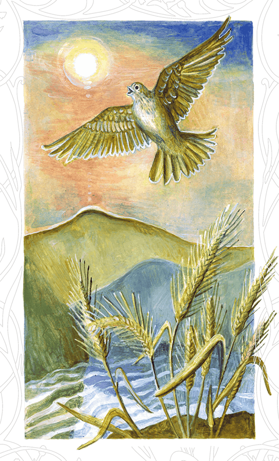 Фейные сказки - i_006.png