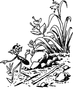 Муравьи не сдаются (с иллюстрациями) - g23.png