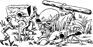 Муравьи не сдаются (с иллюстрациями) - g24.png