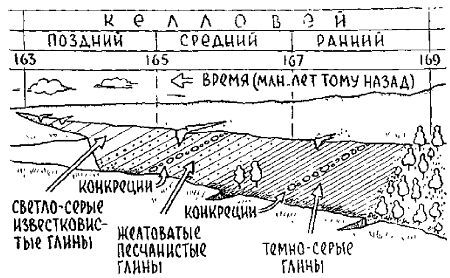 Путешествие по берегам морей, которых никто никогда не видел - i_081.jpg