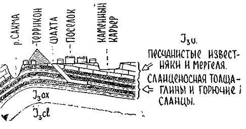 Путешествие по берегам морей, которых никто никогда не видел - i_091.jpg