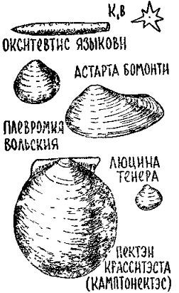 Путешествие по берегам морей, которых никто никогда не видел - i_099.jpg