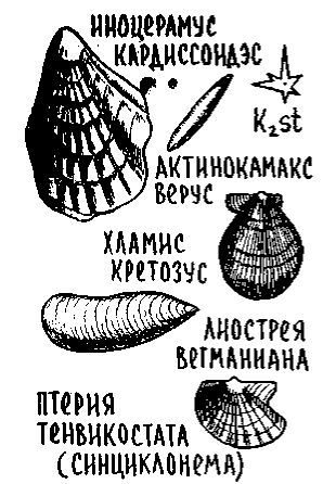 Путешествие по берегам морей, которых никто никогда не видел - i_116.jpg