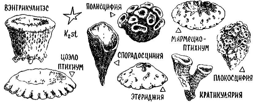 Путешествие по берегам морей, которых никто никогда не видел - i_117.jpg