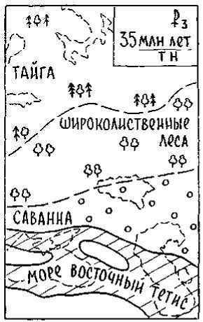 Путешествие по берегам морей, которых никто никогда не видел - i_136.jpg