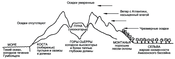 Инки. Быт, религия, культура - _014.png